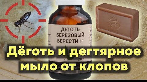 Клопы гибнут ЗА ПАРУ СЕКУНД! Берёзовый дёготь и дегтярное мыло - МОЩНОЕ НАРОДНОЕ СРЕДСТВО!