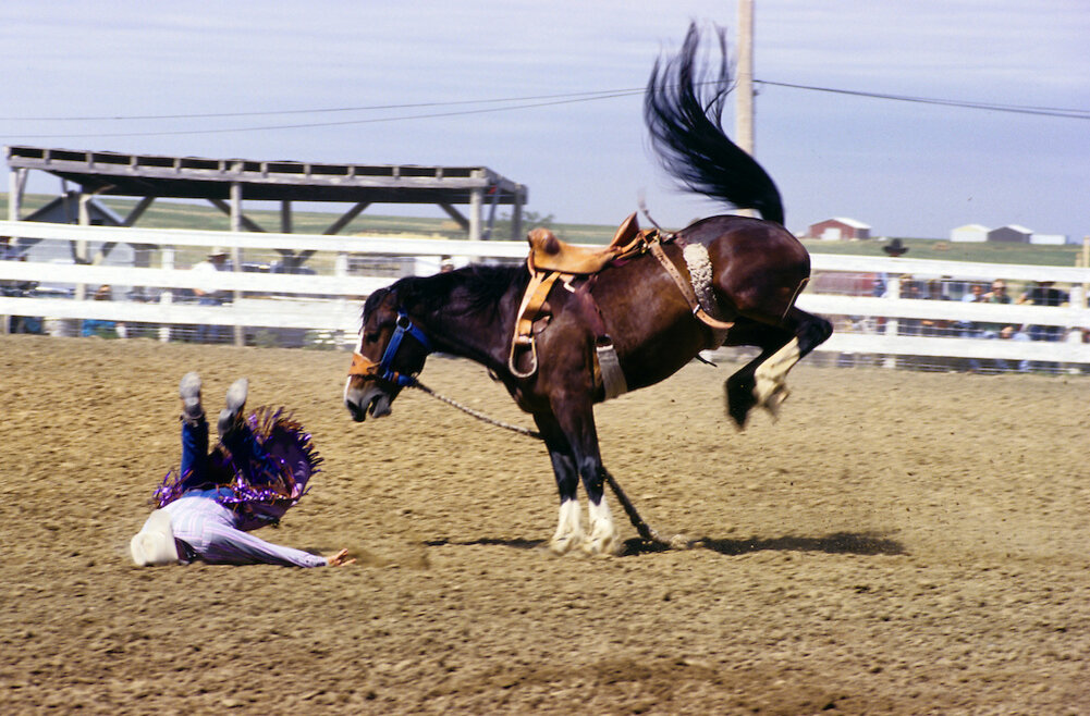 Фото из свободных источников.