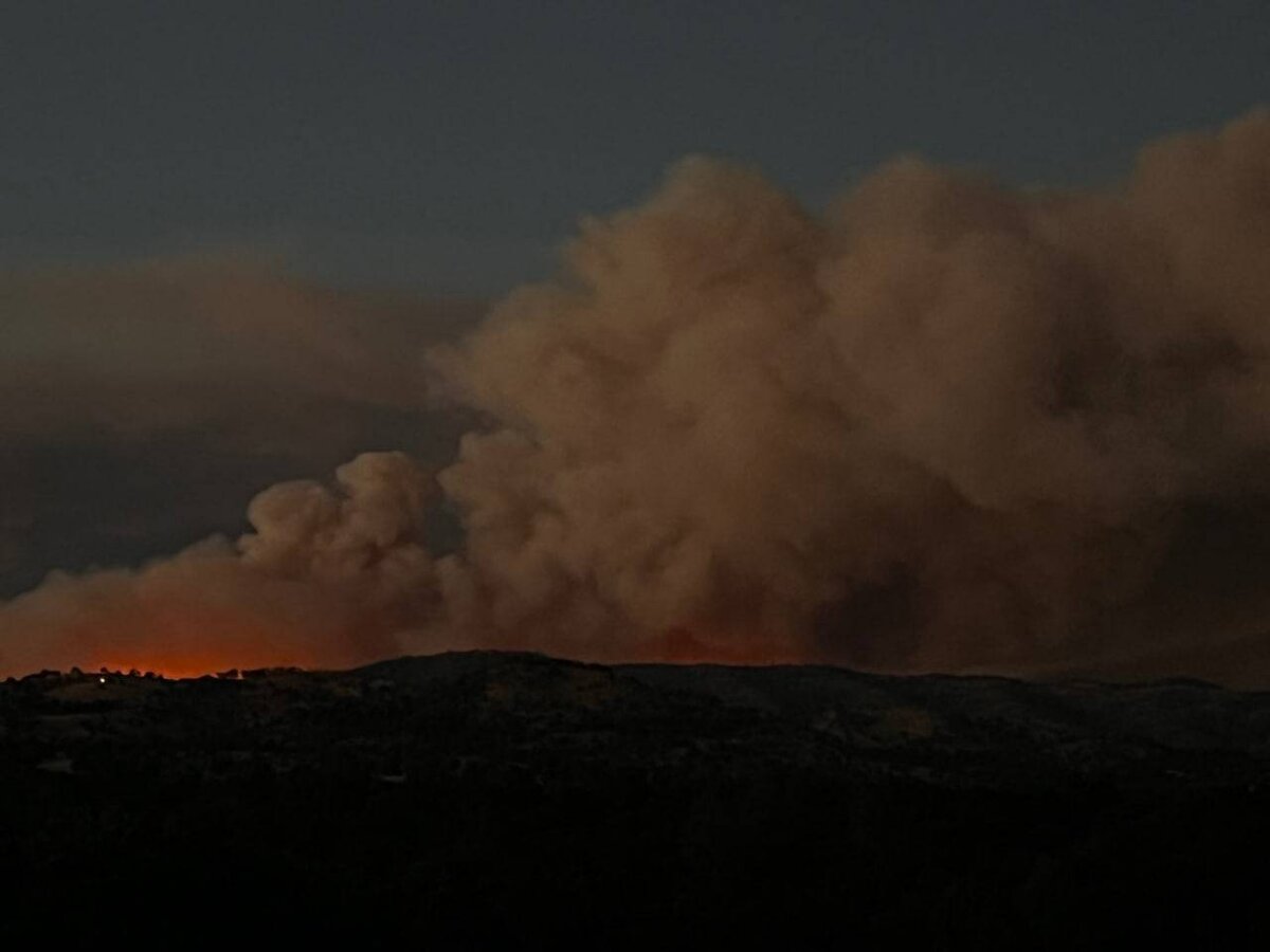    Источник фото: Twitter