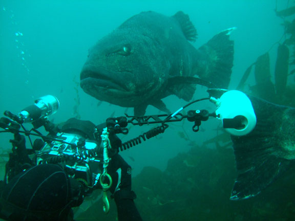 Это что, съёмка какого-то нового хоррора? 