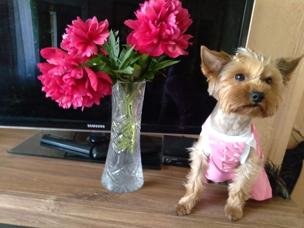 Милейшее создание)) Фото из личного архива 