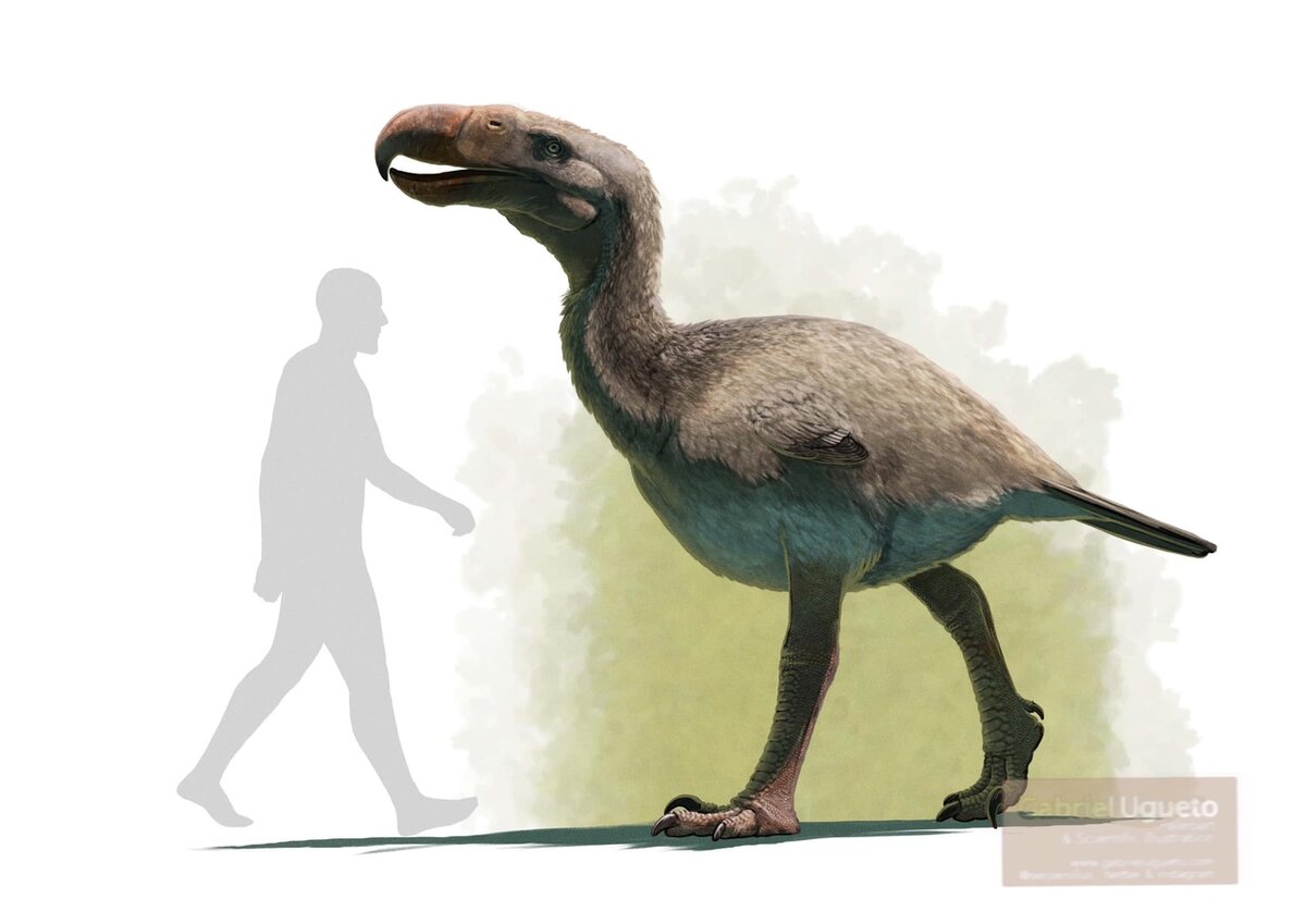 Хмм, что за голый мужик тут ходит, бесстыдник такой?