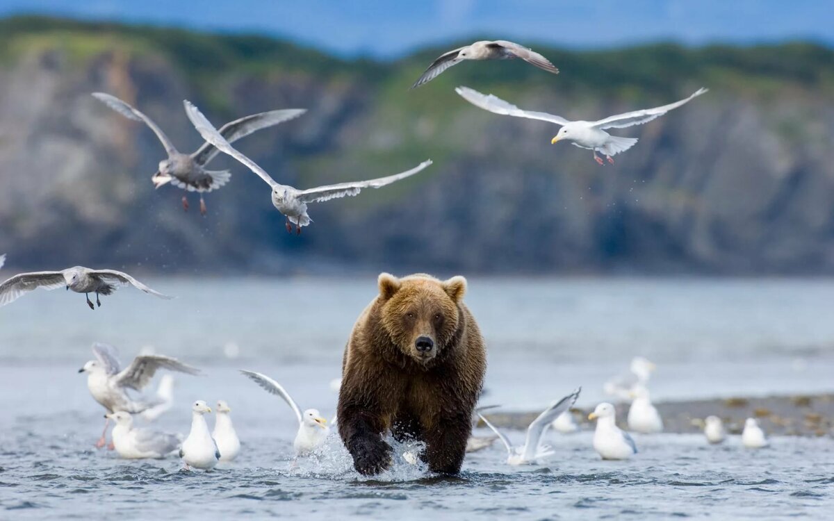 что водится в озере байкал