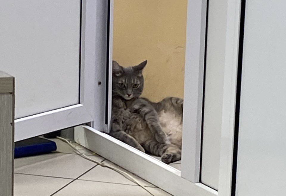 Фото: ИА SM.News📷
