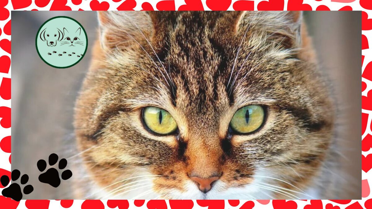 Ставьте лайки, подписывайтесь на канал