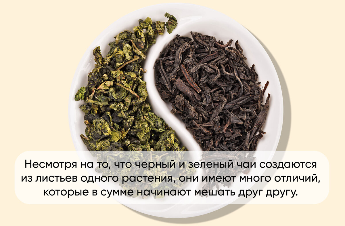 Лучше пить черный чай или зеленый. Зеленый чай. Черный и зеленый чай. Чай черный. Зеленый чай листовой.