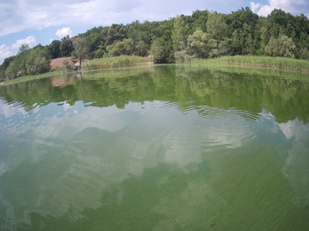 Вода постепенно становилась чище.