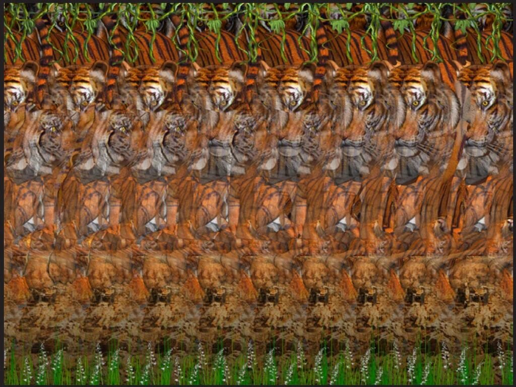 Картинка из открытых источников Интернета