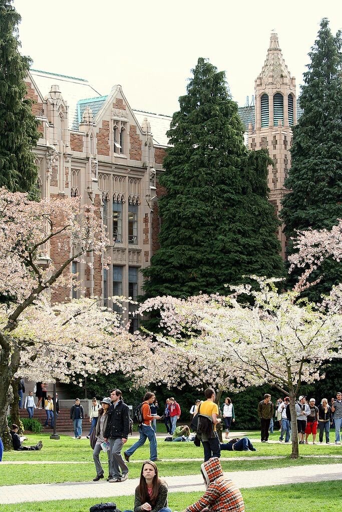 изображение взято из приложения «Pinterest»