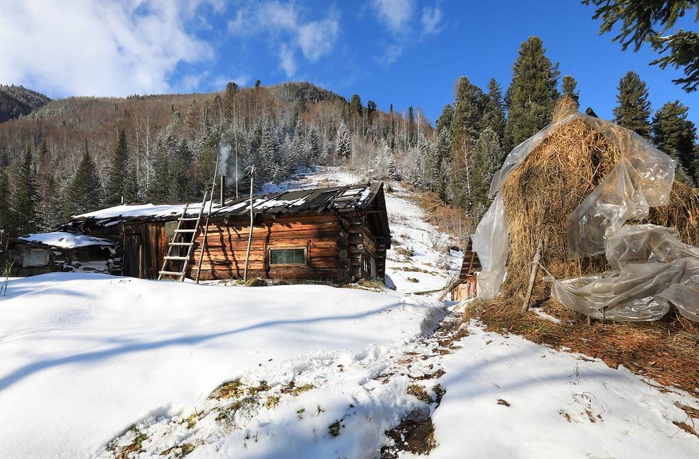 Фото агафьи лыковой сейчас