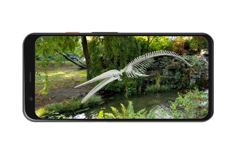 Скелет синего кита длиной 25,2 в AR