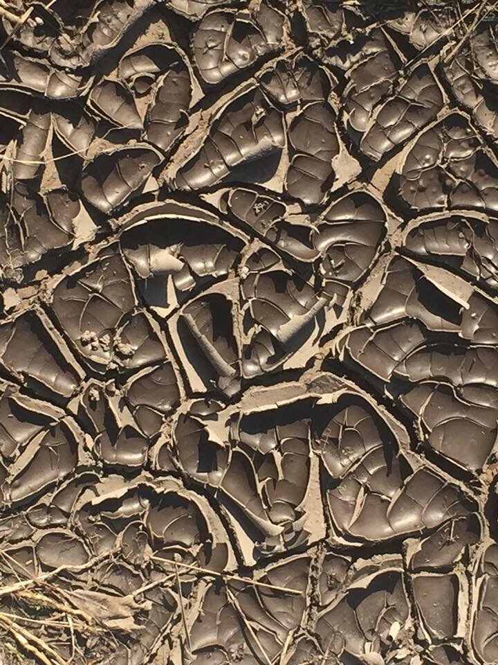 Это не шоколад! Это потрескавшаяся грязь на дне засохшей лужи