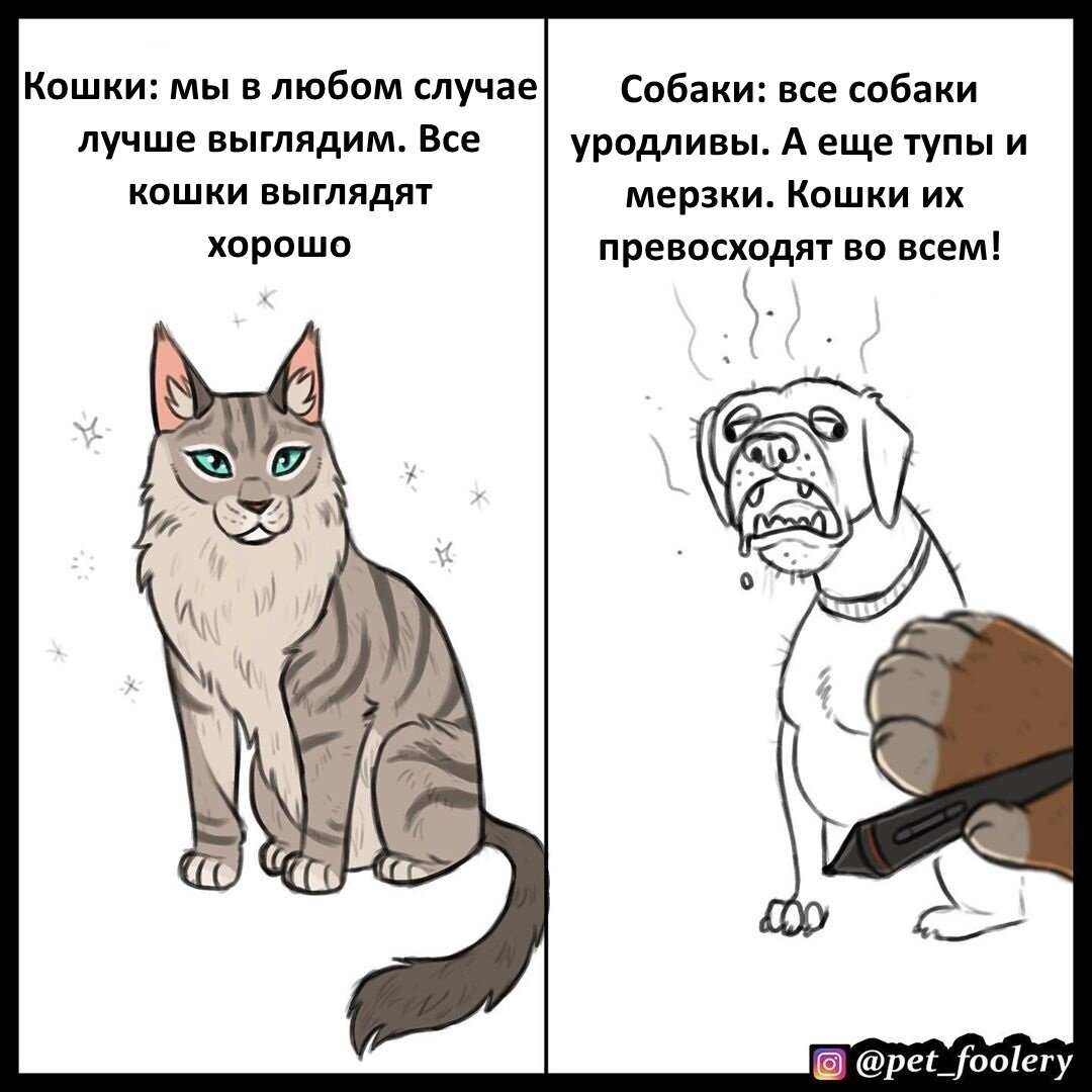 Кошки лучше собак. Кто лучше коты или собаки. Собаки лучше кошек комиксы.