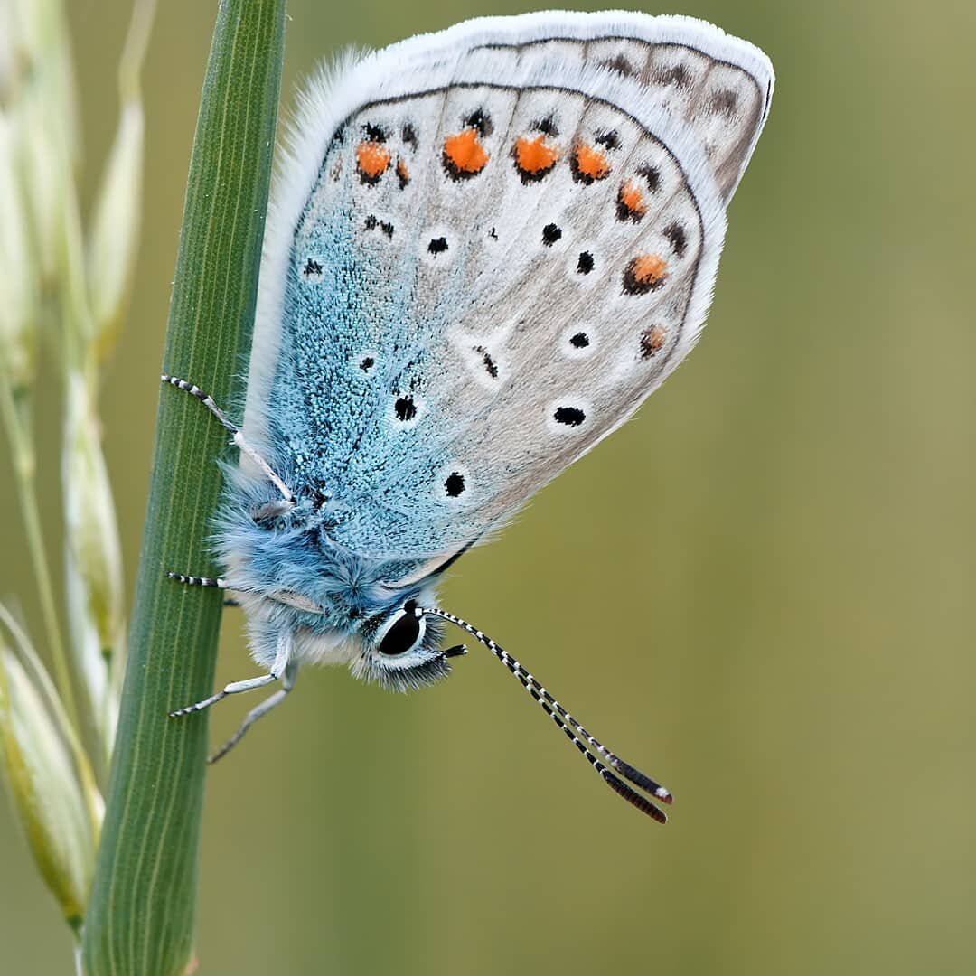 Фото сайта Canva