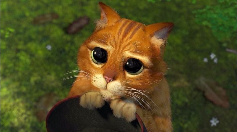 кадр из мультфильма "Шрек 2"