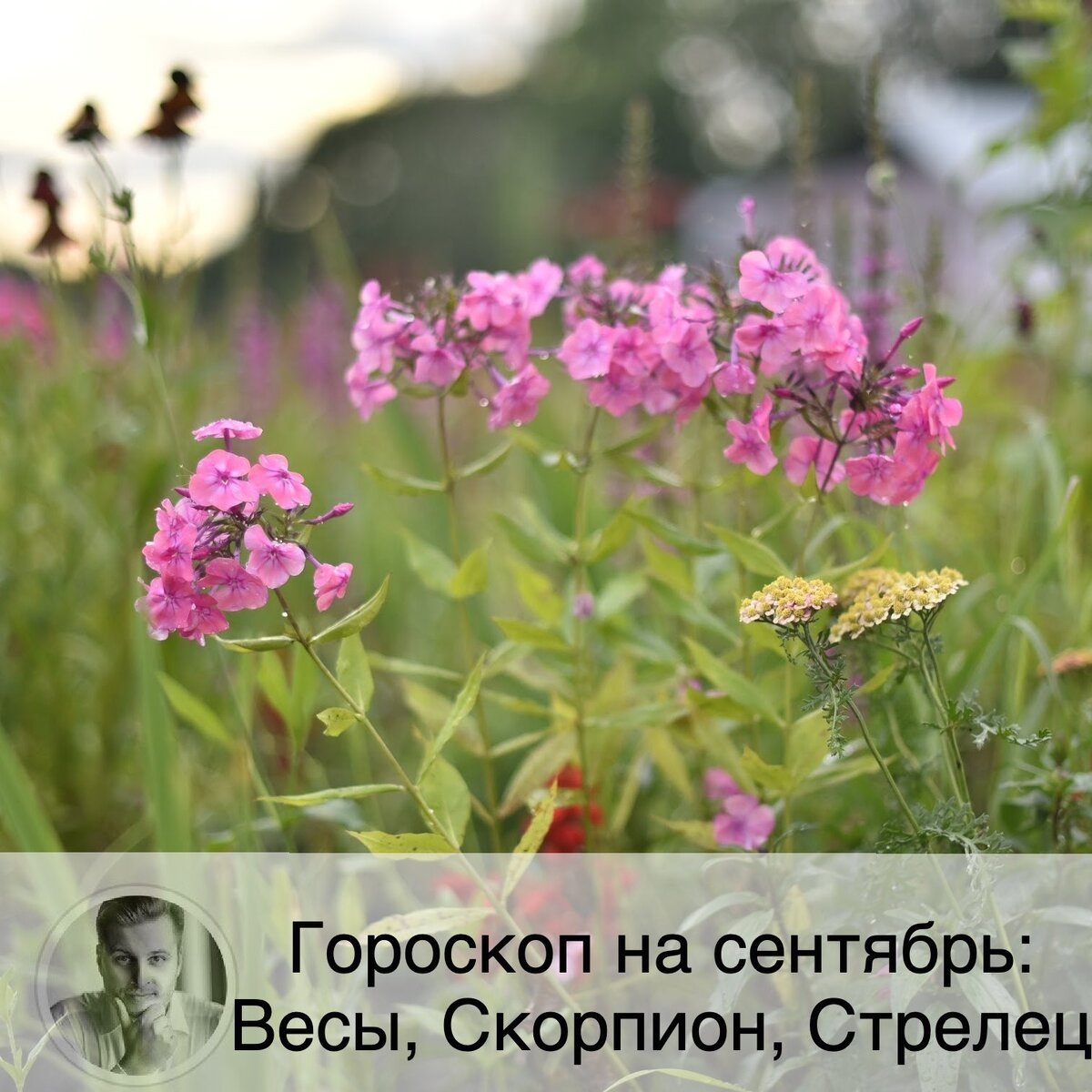 Подписывайтесь и ставьте 👍
Продолжаю публиковать гороскоп. 
⚖ Весы
❤️ Весам будет нужно внимание и похвала, по этой причине вы будете с удовольствием завязывать новые знакомства и ходить на свидания. Если вы находитесь в поисках своей второй половины, то присмотритесь к ближнему кругу. Семейным представителям знака рекомендуется чаще выходить в свет с партнером.
💶 В сентябре Весы будут особенно дипломатичны, практичны и рассудительны, что поможет вам в переговорах и на деловых встречах. Если вы хотели сменить работу, то сейчас для этого очень благоприятный период. В сентябре возможно много трат.
🤒 Скорее всего, регулярность спортивных тренировок снизится.

🦂 Скорпион
❤️ В сентябре Скорпионов будет тянуть проводить время в компаниях, а не в одиночестве. Воспользуйтесь этим, чтобы устроить свою личную жизнь. Но постарайтесь не быть слишком откровенными, это может обернуться против вас. Не рекомендуется начинать служебный роман, он ничем хорошим не закончится. Семейный Скорпион может проявлять безосновательную ревность.
💶 Старайтесь не использовать близких людей в своих интересах, в последствии это принесет плохие результаты. Рабочие процессы могут тяжело идти, с задержками. С финансовой точки зрения месяц должен быть благополучным, ожидается рост доходов.
🤒 Постарайтесь не растрачивать свою энергию на множество дел, избегайте переутомления и перенапряжения.

🏹 Стрелец
❤️ Стрельцы будут с удовольствие проводить время в компании друзей. Могут завязаться отношения с иностранцем.
💶 Сентябрь должен быть очень удачным в профессиональном плане месяцем. У вас будет много возможностей, постарайтесь их не упустить. Отношения с начальством складываются наилучшим образом. Если вы задумывались о расширении бизнеса, то сейчас очень хороший момент для этого.
🤒 Обратите внимание на свое здоровье в этом месяце.