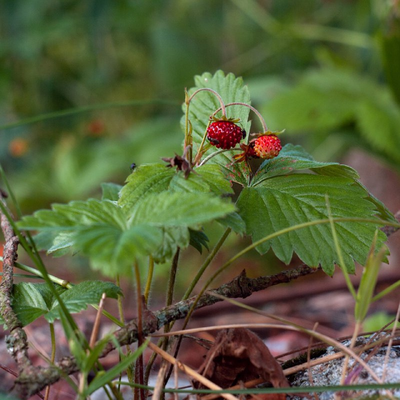 Фото Натальи Жуковой
