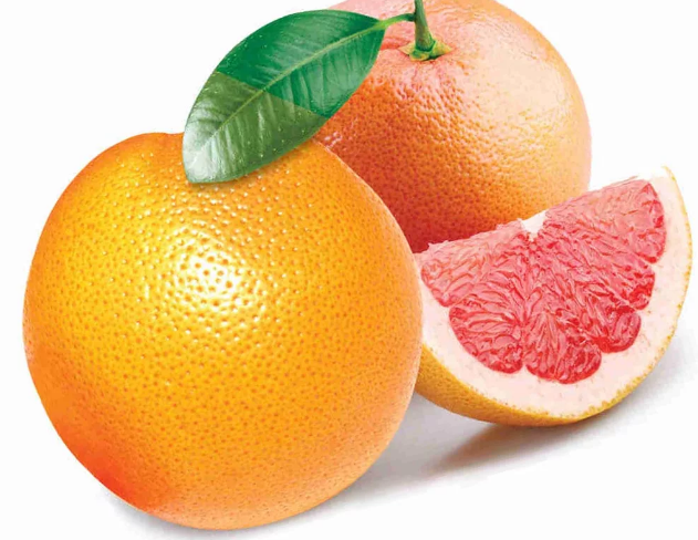 Фотография взята из источника yandex.ru