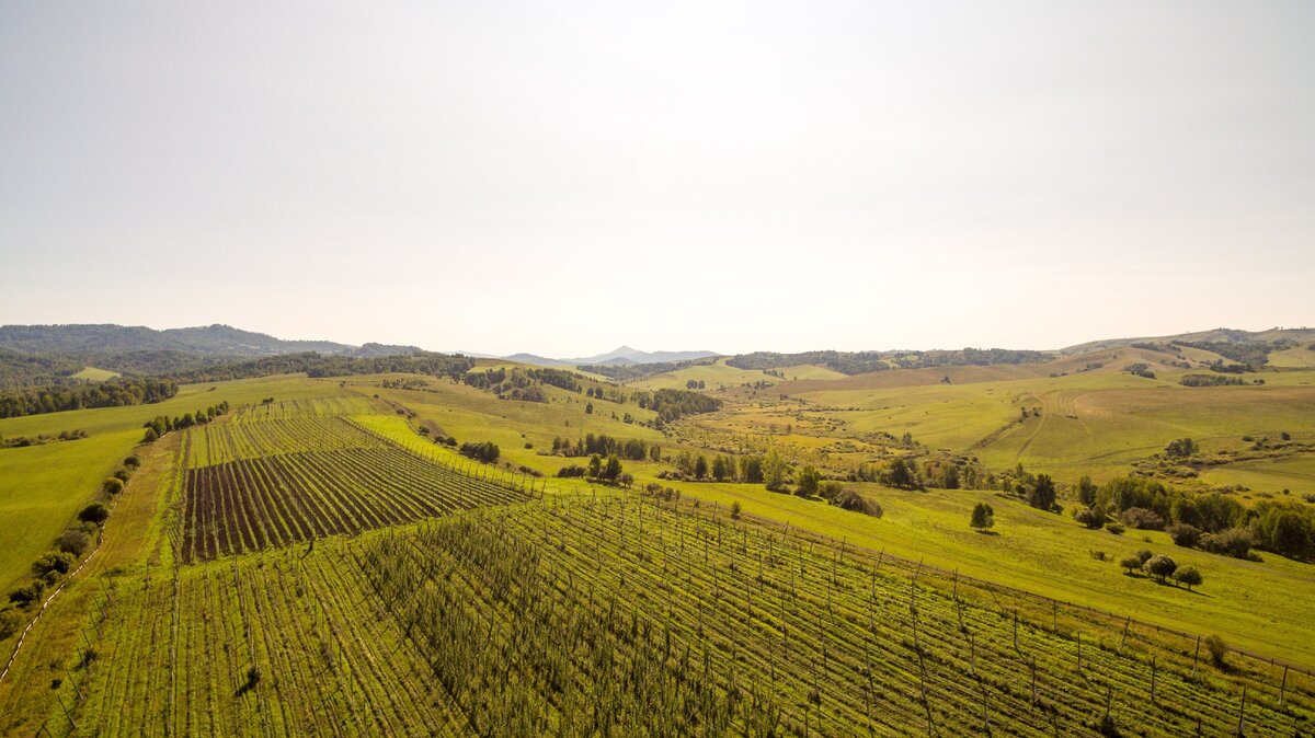 Хмелекомплекс. с. Верх-Карагуж