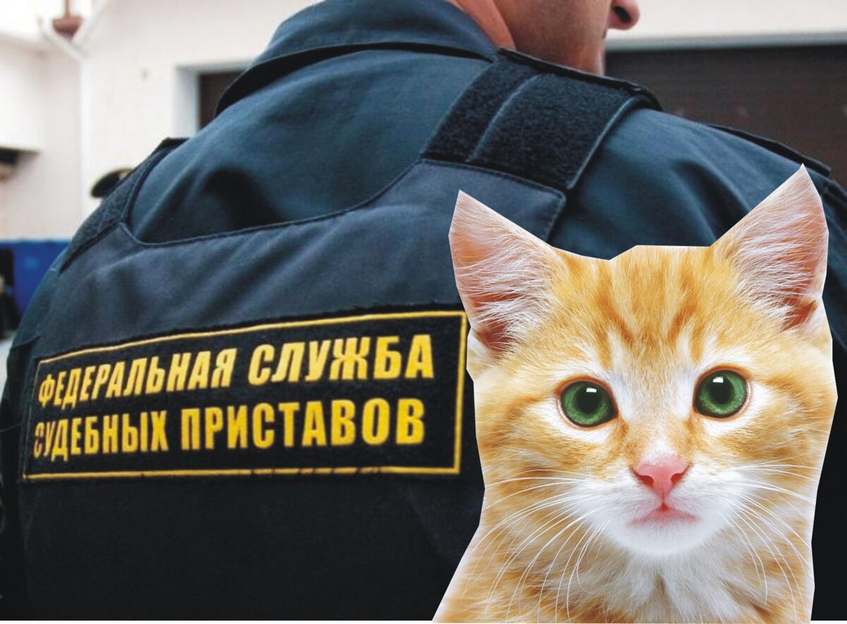 Взято из открытого источника