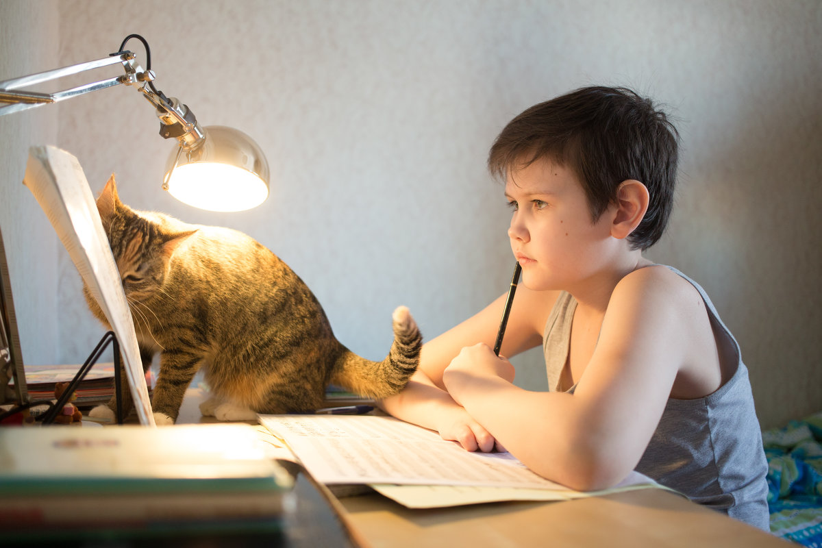 Помоги учить дома. Кот учит уроки. Ребенок учит уроки. Котик учит уроки. Мальчик учит уроки.