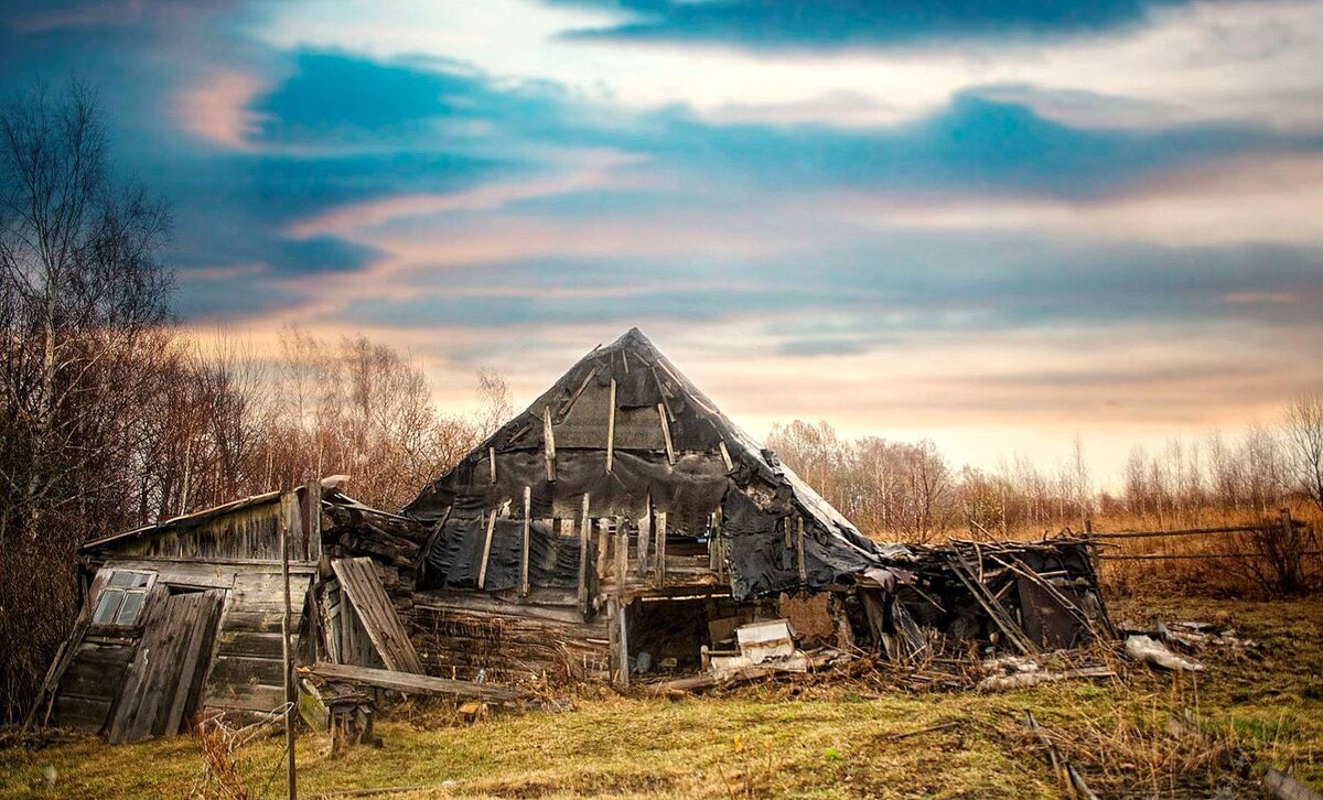 Фото взято из открытых источников