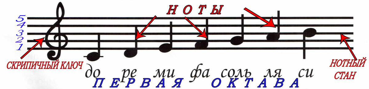 Откуда ноты растут