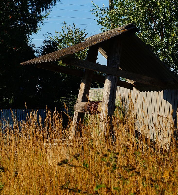 На скамейке у ворот