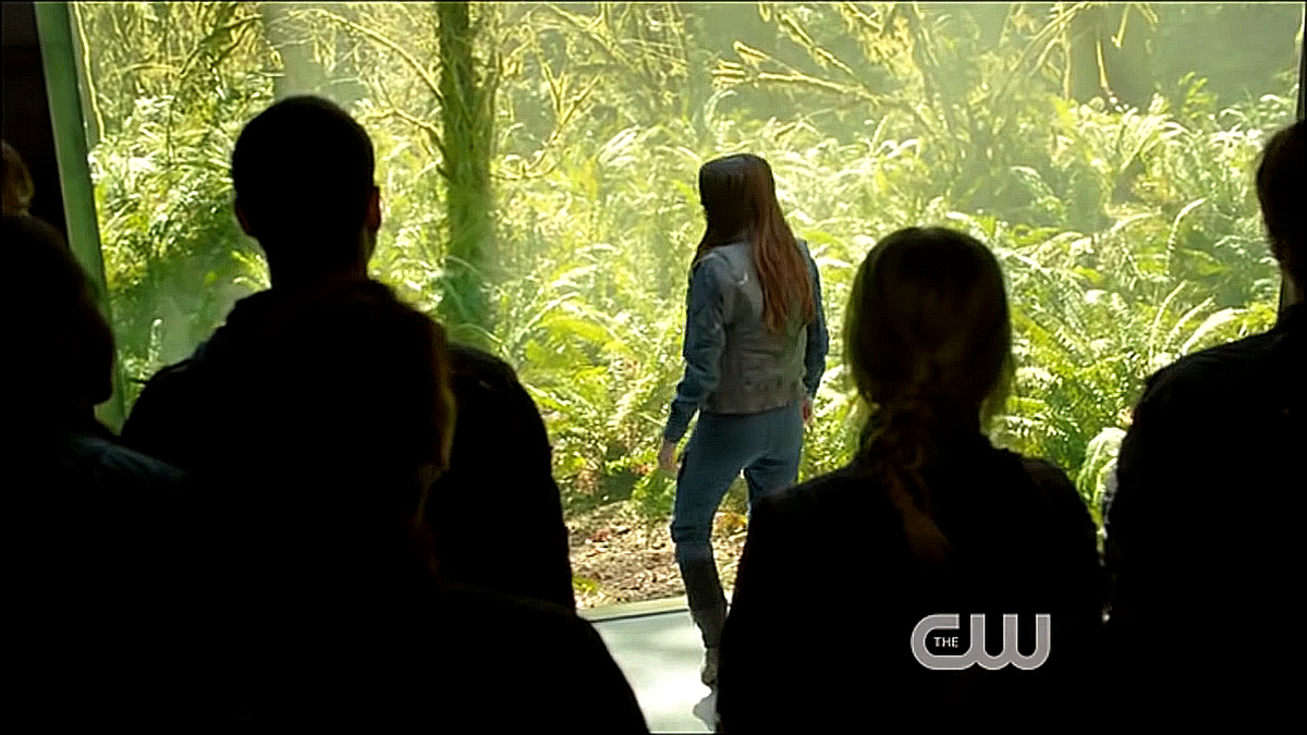 Первый раз на Земле