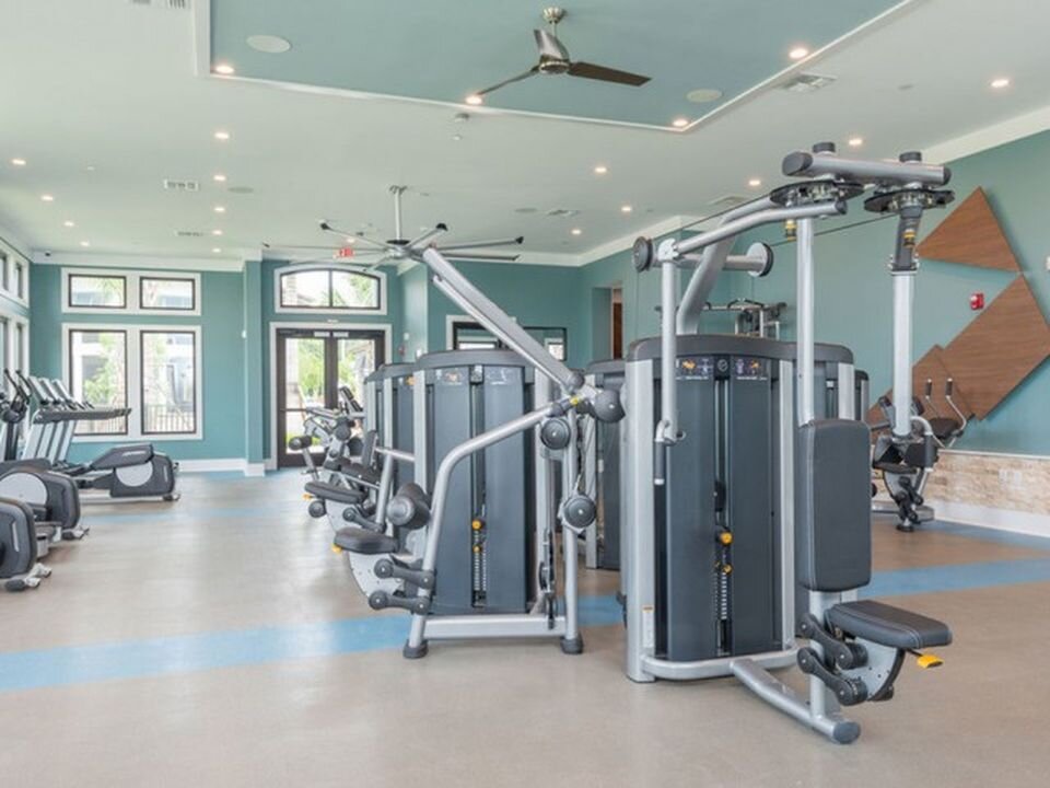 Тренажерный зал для любителей спорта