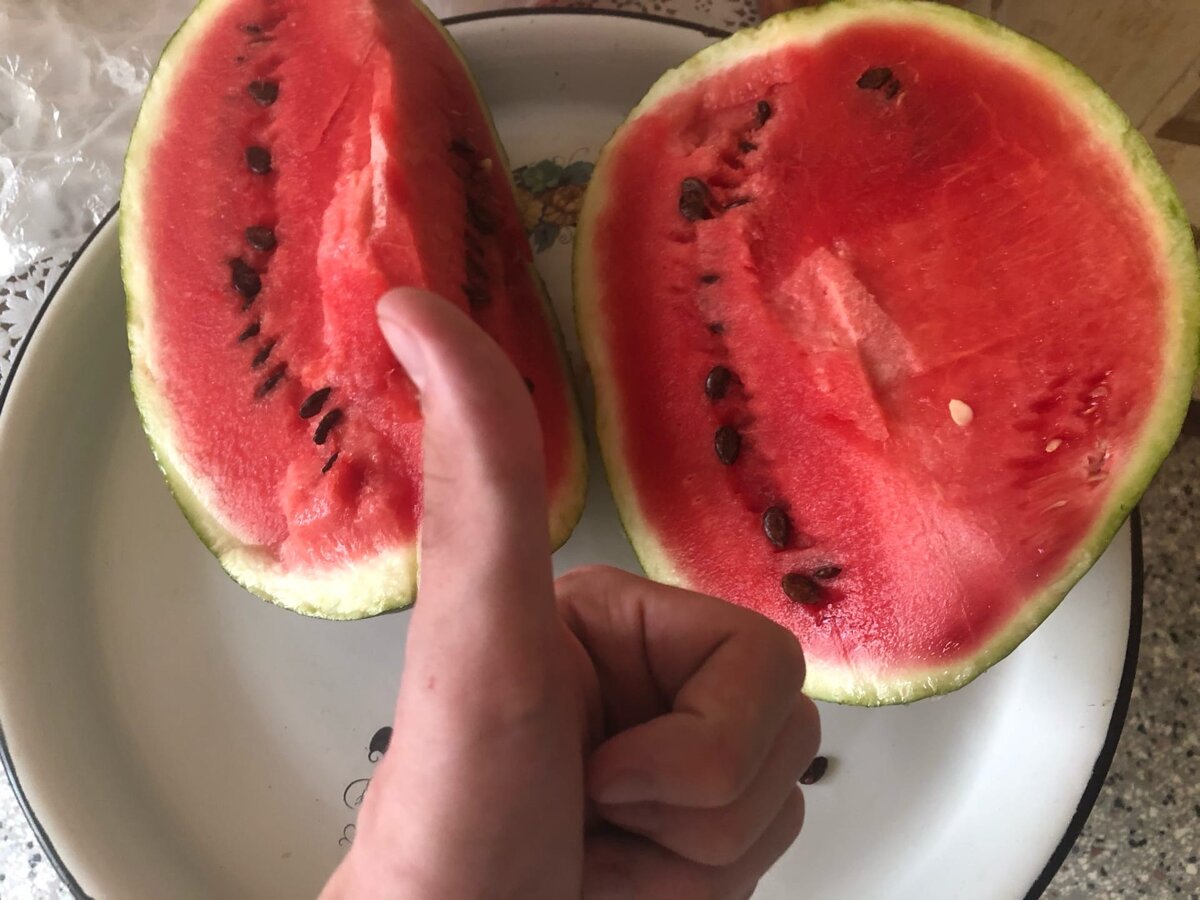 Я в очередной раз купил хороший арбуз