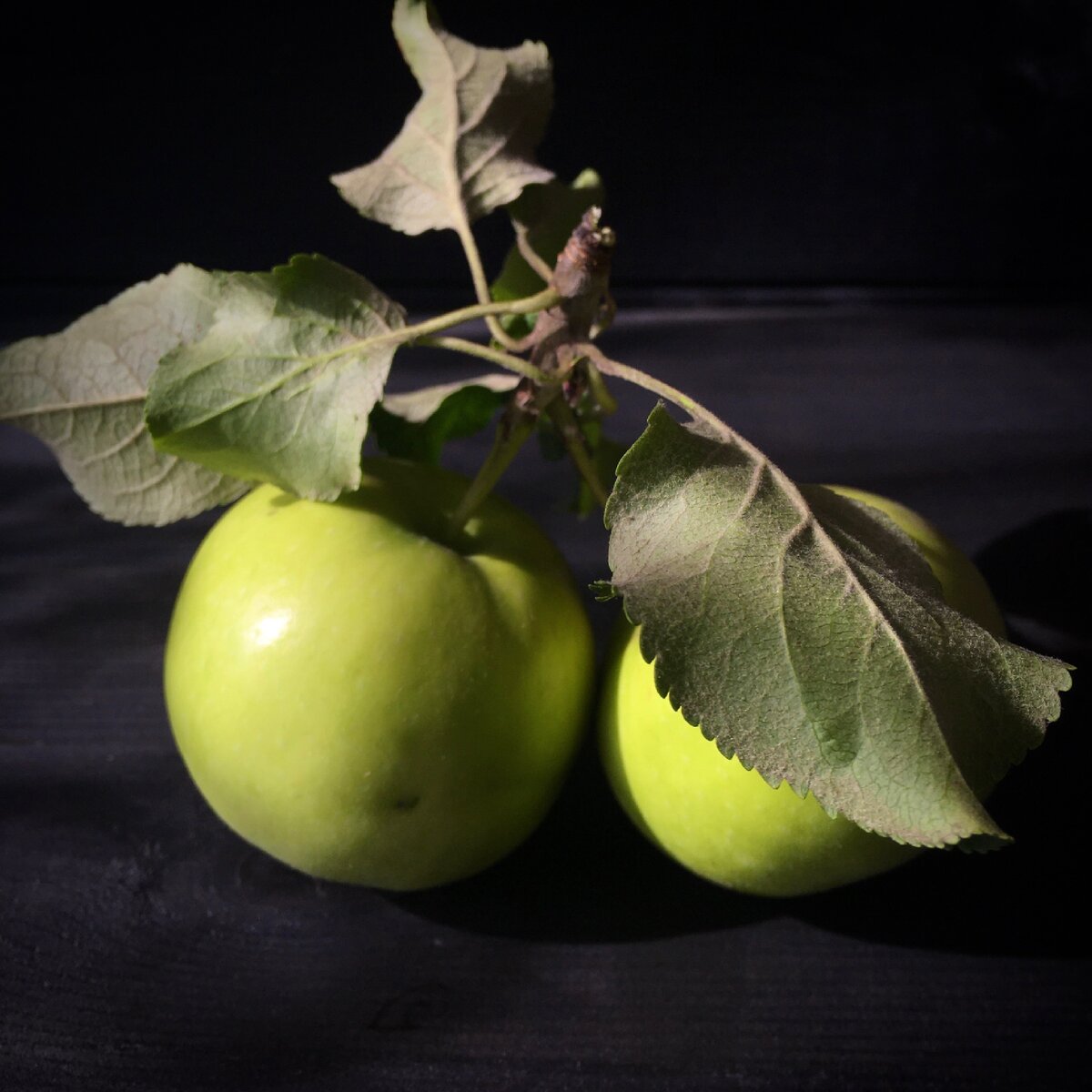 Как вылечить грибок стопы яблочным уксусом - wikiHow