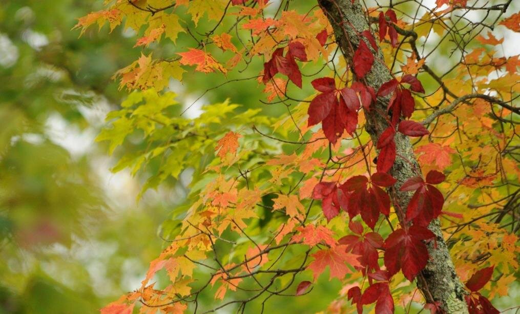 Фото — fotokto.ru