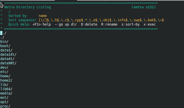 Файловый менеджер Вим (называется netrw)