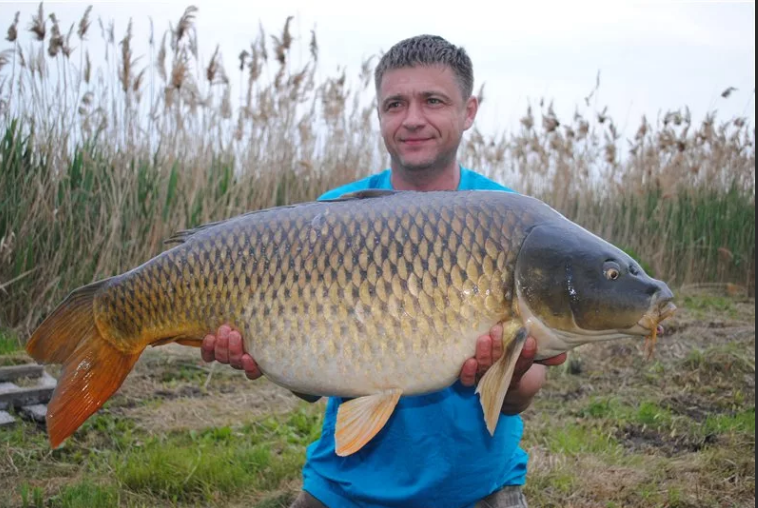 Вот он красавец!