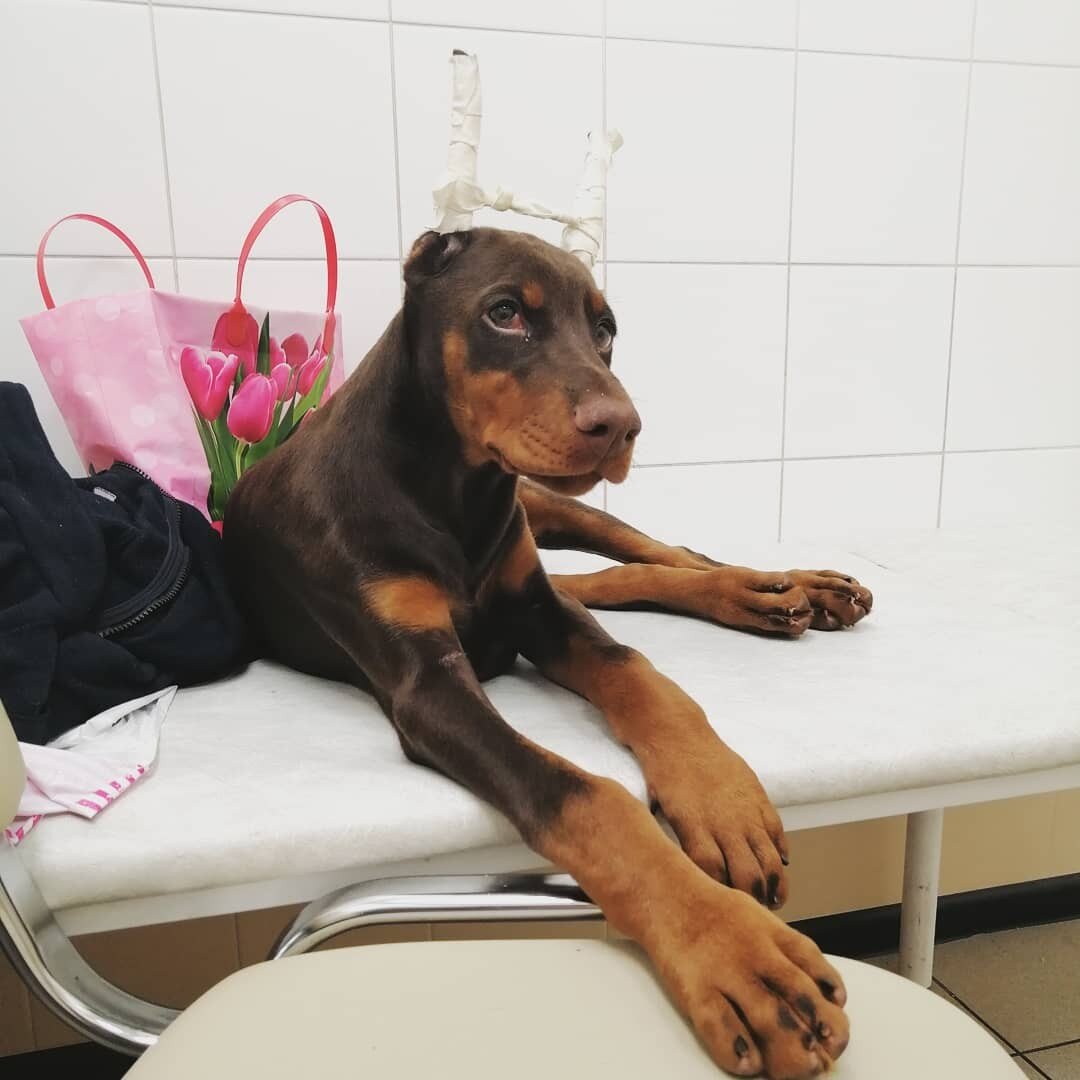 Источник https://vk.com/arlenrus