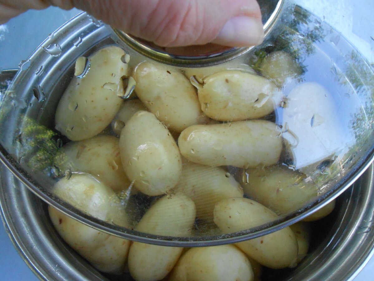 Своя картошечка ароматна, вкусна и полезна