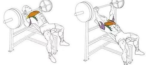 Изображение взято с Яндекс картинки