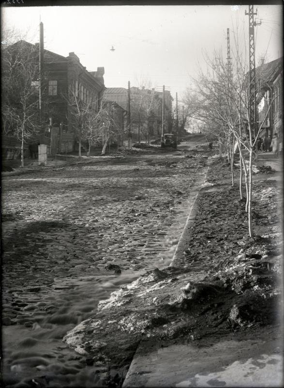 Фотография находится в свободном доступе