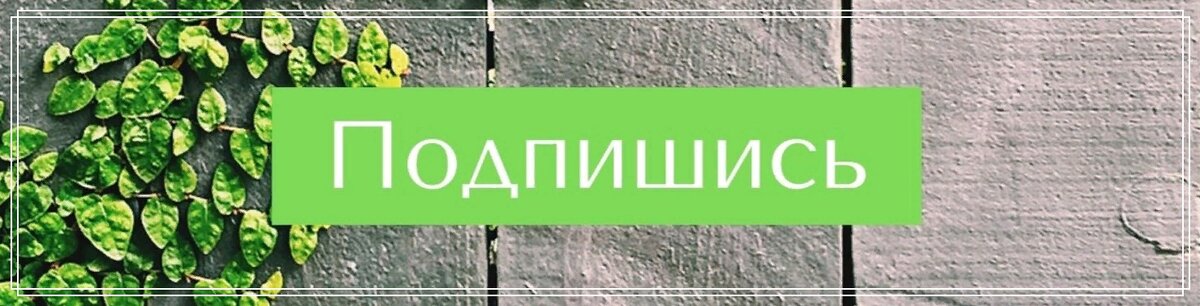 Обезжиренный творог больше не покупаю. В статье рассказываю почему