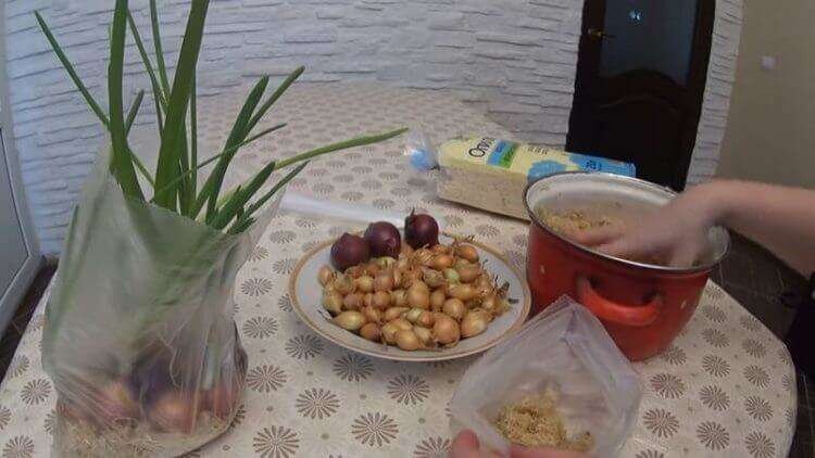 Подпишитесь на мой канал!