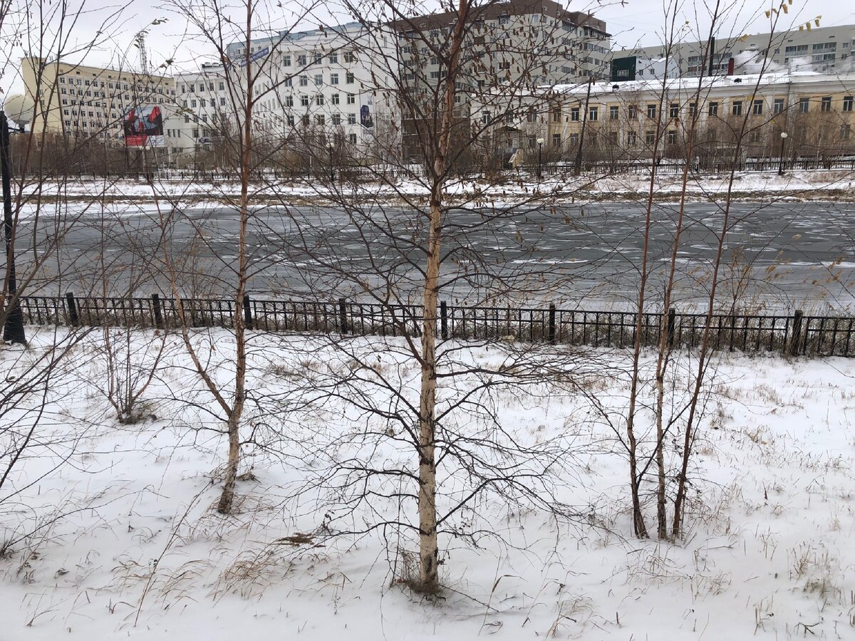 Россия выпал снег. Иркутск выпал снег. Первый снегопад Якутск. Выпал снег в октябре 2021. Ильм "пока не выпал снег...".