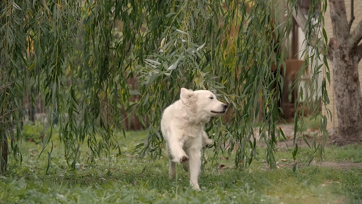 4 продажи за год. 