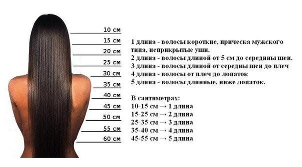 Таблица определения длины волос