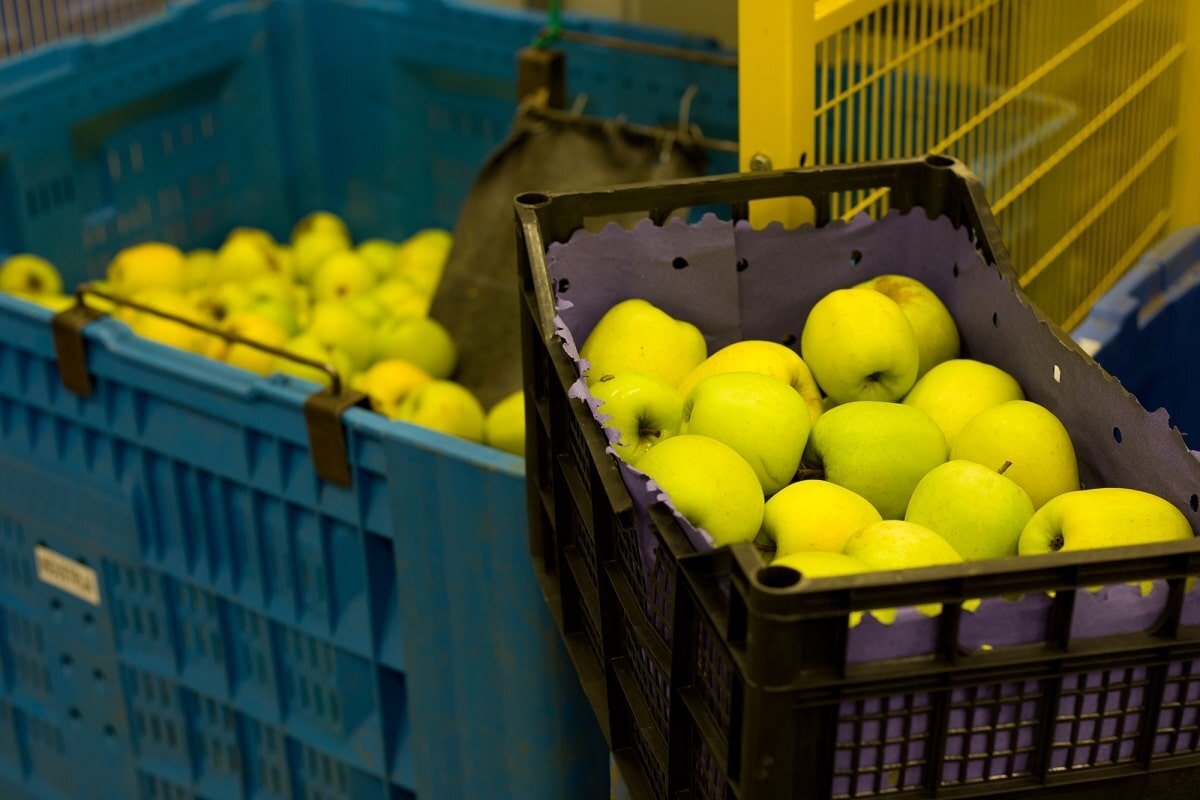 В ящиках можно продавать яблоки (фото взято с сайта takprosto.cc)
