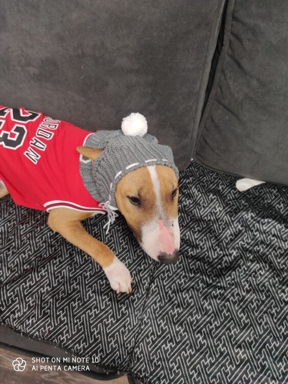 фото с https://aliexpress.ru/