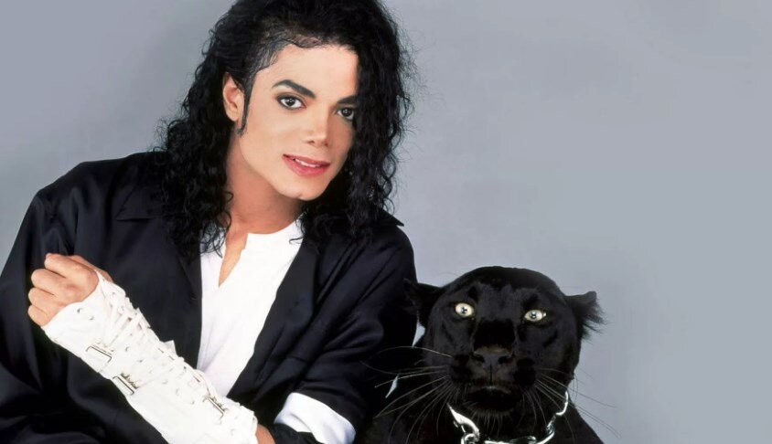 фото из открытого источника