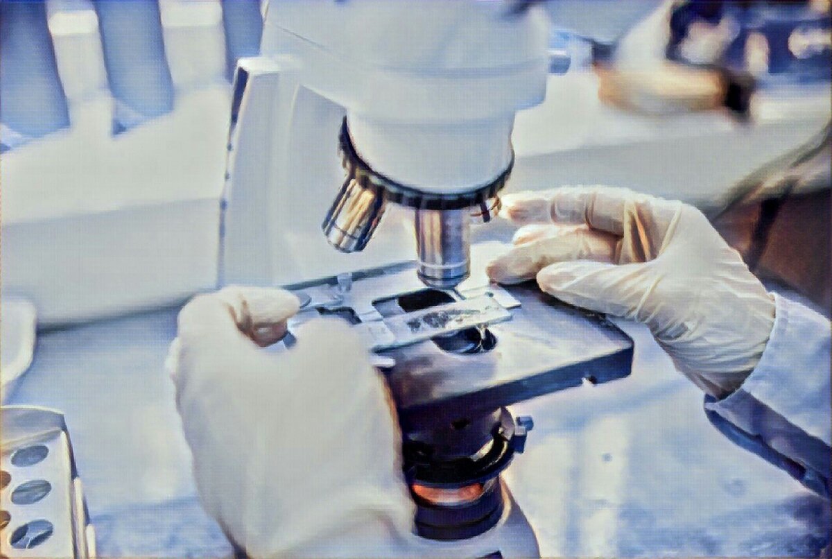 Гистологическое исследование тканей пациента позволяет получить подробную информацию о структуре опухоли и характере злокачественных клеток (изображение взято с сайта https://rostec.ru/)