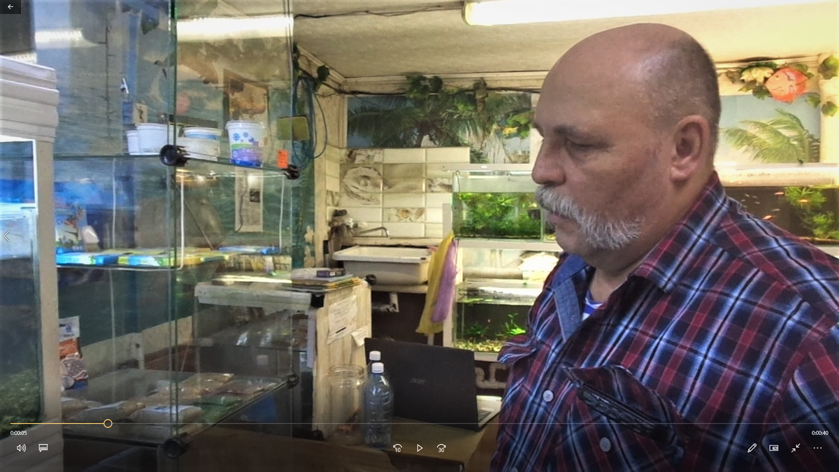 Алексей Евгеньевич рассказывает о своих рыбках. Фото автора.