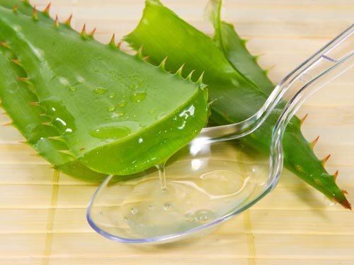 Алоэ